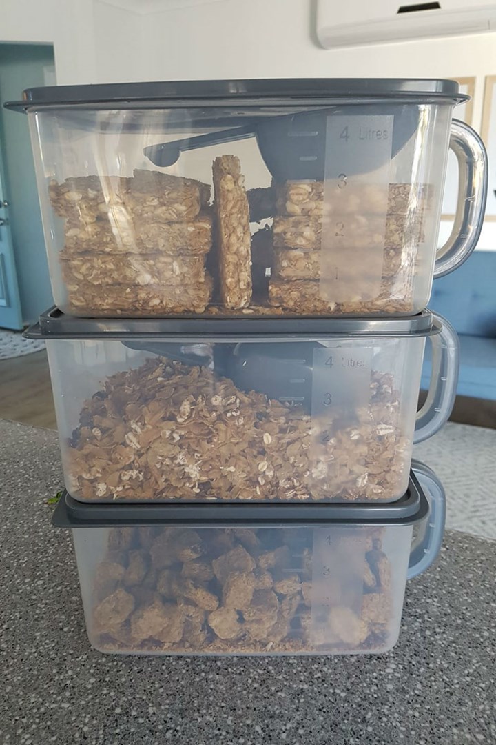 Dog food hot sale container kmart