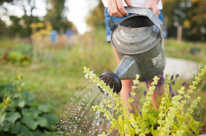 Level 2 water restrictions: Everything you need to know | Practical ...